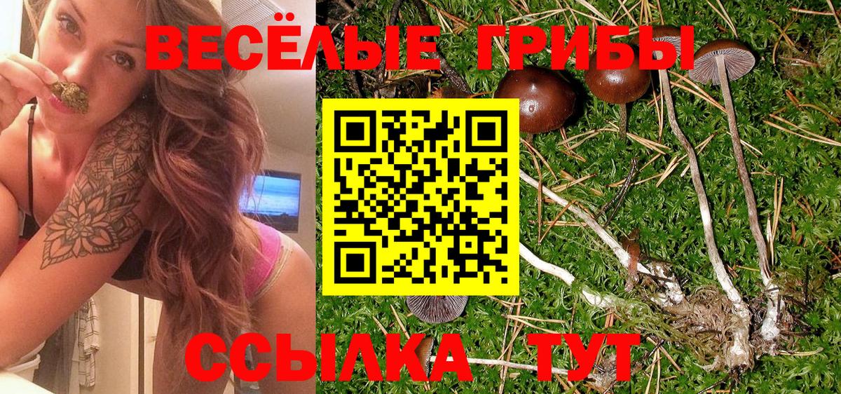 Псилоцибиновые грибы ЛСД  Вход с VPN  Звенигород 