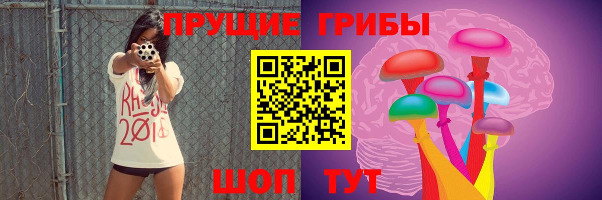 Псилоцибиновые грибы мицелий Звенигород